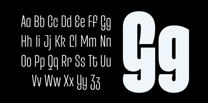 Entrofly Font Poster 4