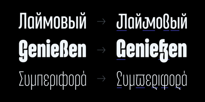 Entrofly Font Poster 8