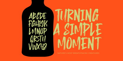 Montha Stroner Font Poster 10