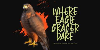 Montha Stroner Font Poster 5