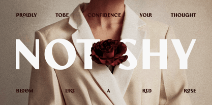 Aurova Font Poster 3