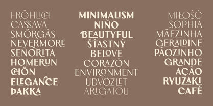 Aurova Font Poster 6