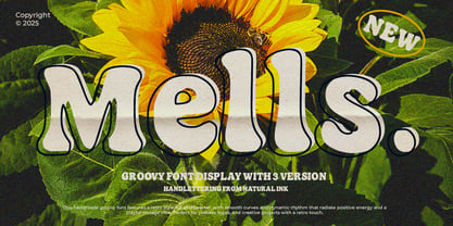 Mells Highland Font Poster 8