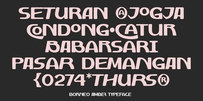 Borneo Amber Font Poster 2