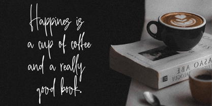 Brillanty Signature Font Poster 9