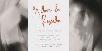 Brillanty Signature Font Poster 5