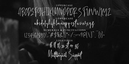 Brillanty Signature Font Poster 10