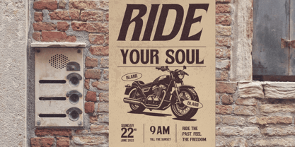 Rustic Vintage Font Poster 11