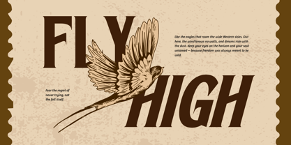 Rustic Vintage Font Poster 15