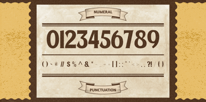 Rustic Vintage Font Poster 14