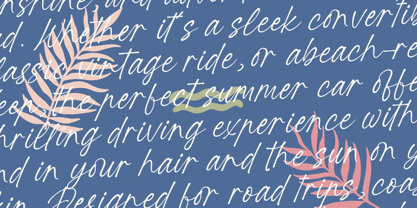 Ratinel Boldies Font Poster 10