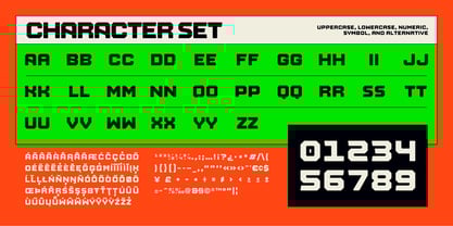 Cook Fecorald Font Poster 3