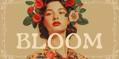 Gardino Font Poster 5