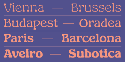 Gardino Font Poster 10