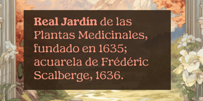 Gardino Font Poster 12