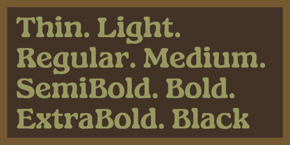 Gardino Font Poster 14