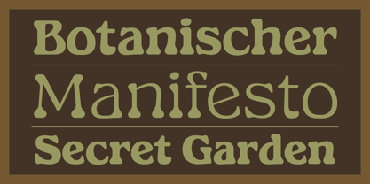 Gardino Font Poster 3