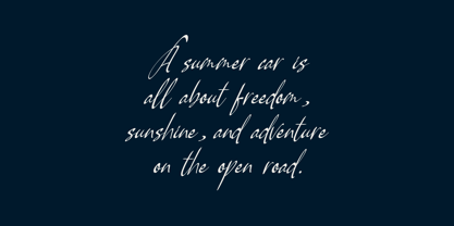 Pamric Mevira Font Poster 2