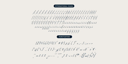 Pamric Mevira Font Poster 13