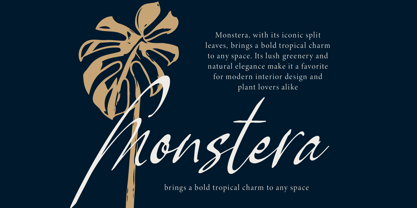 Pamric Mevira Font Poster 8