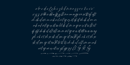 Pamric Mevira Font Poster 14