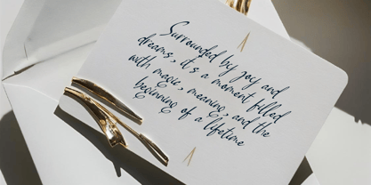 Pamric Mevira Font Poster 9