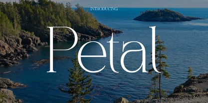 Petal Font Poster 1