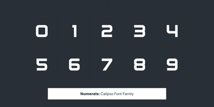 Calipso Font Poster 10