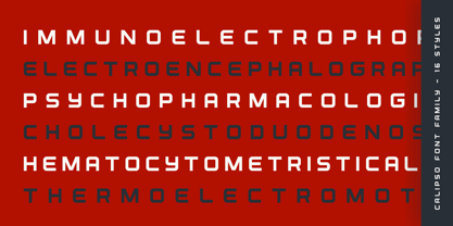 Calipso Font Poster 11