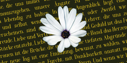 Epralmo Font Poster 2