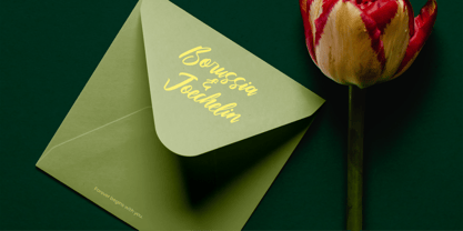 Ciaters Gangster Font Poster 13