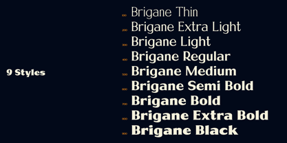 Brigane Font Poster 3