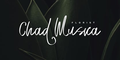 Wonderly Font Poster 2