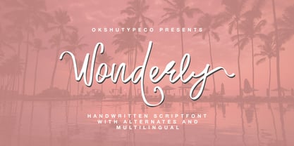 Wonderly Font Poster 1