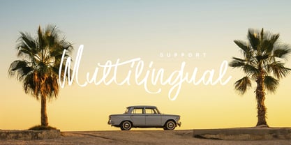 Wonderly Font Poster 8