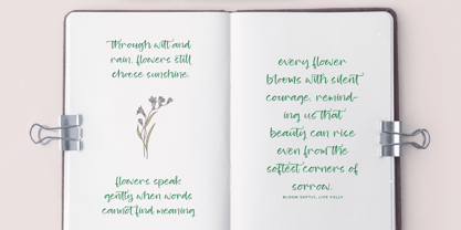 Blooming Harvest Font Poster 10