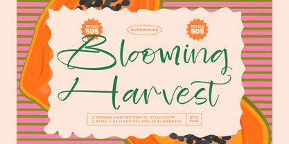 Blooming Harvest Font Poster 1