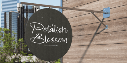 Blooming Harvest Font Poster 14