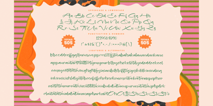 Blooming Harvest Font Poster 15