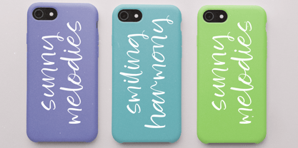 Blooming Harvest Font Poster 5