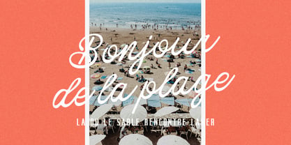 Friday Edition Script Font Poster 2