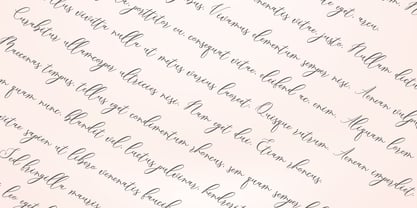 Mairenza Font Poster 6