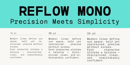 Reflow Mono Font Poster 4