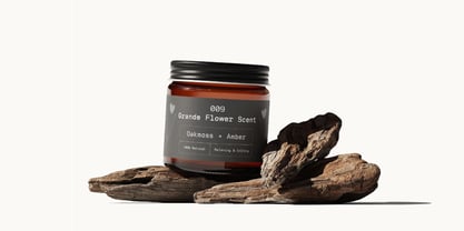 Reflow Mono Font Poster 12