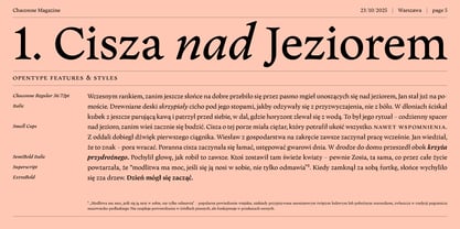 Chaconne Font Poster 5