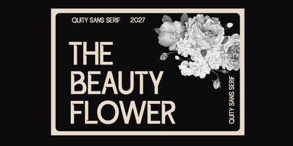 Quite Font Poster 3