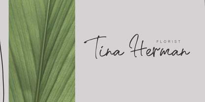 Jingle Empire Font Poster 2