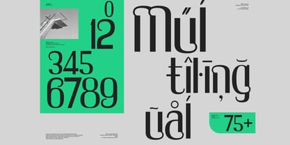 Bhilik Font Poster 9