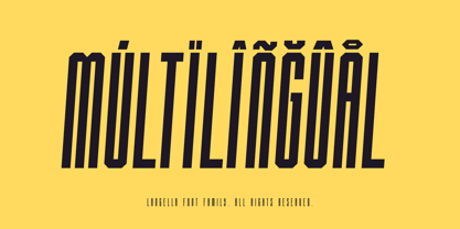 Langella Font Poster 13