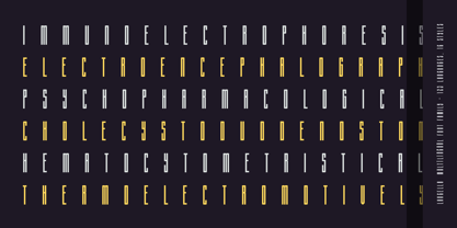 Langella Font Poster 12